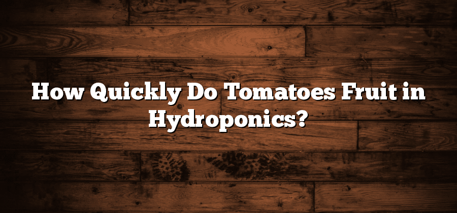 How Quickly Do Tomatoes Fruit in Hydroponics?