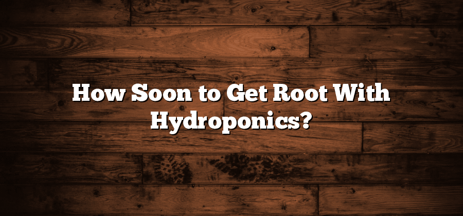 How Soon to Get Root With Hydroponics?