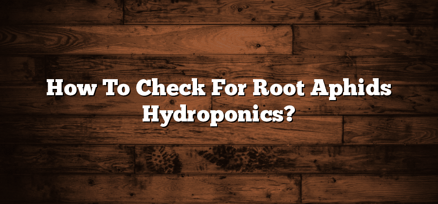 How To Check For Root Aphids Hydroponics?