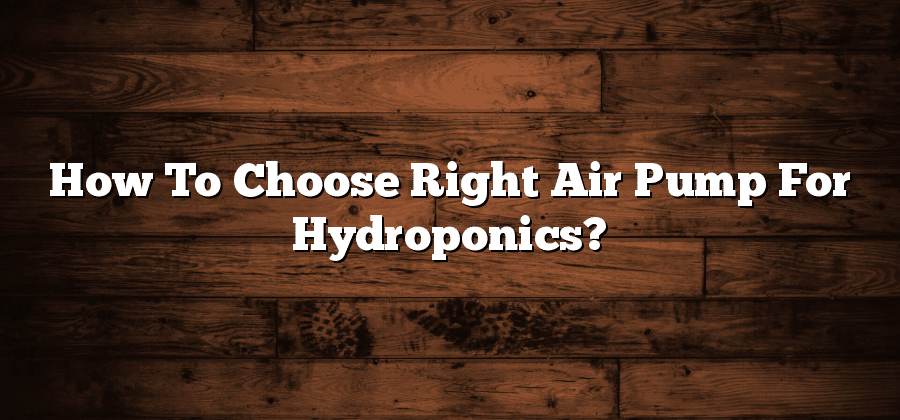 How To Choose Right Air Pump For Hydroponics?