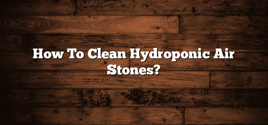 How To Clean Hydroponic Air Stones?