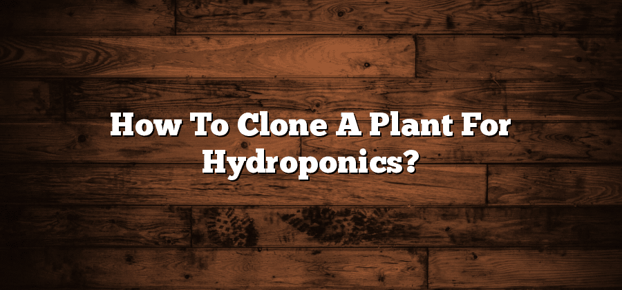 How To Clone A Plant For Hydroponics?