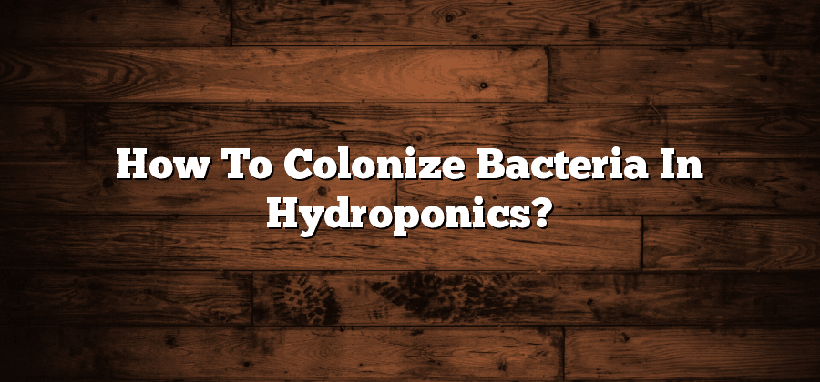How To Colonize Bacteria In Hydroponics?