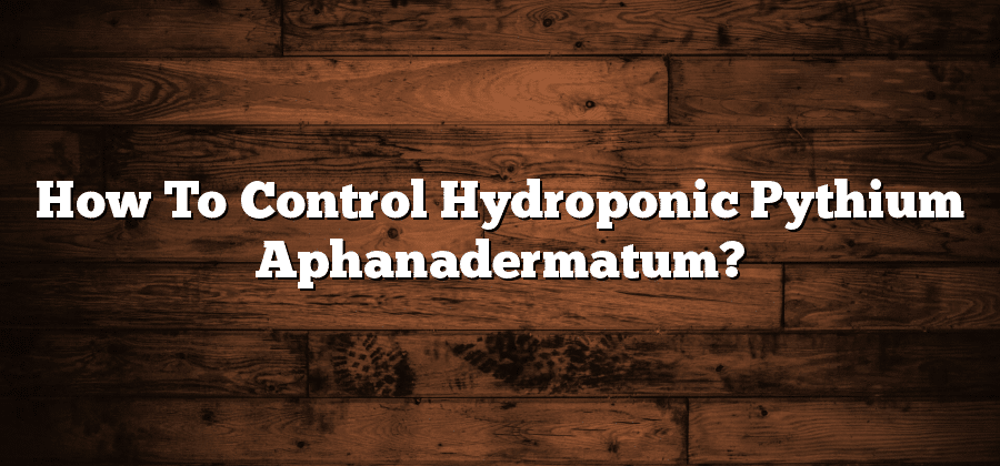 How To Control Hydroponic Pythium Aphanadermatum?