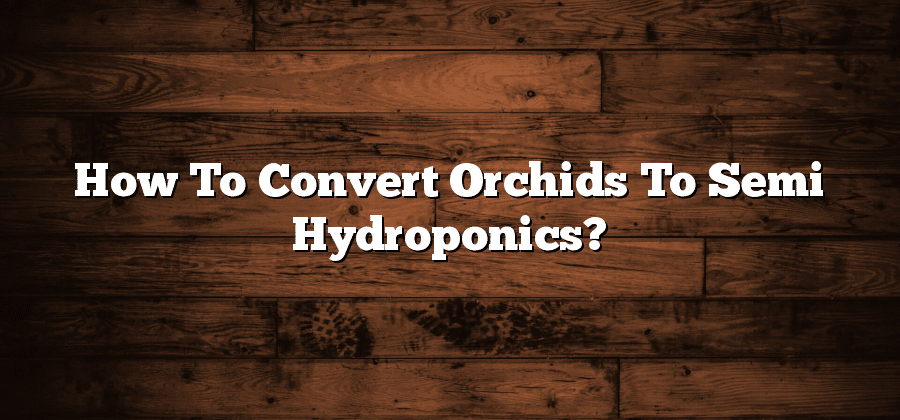 How To Convert Orchids To Semi Hydroponics?