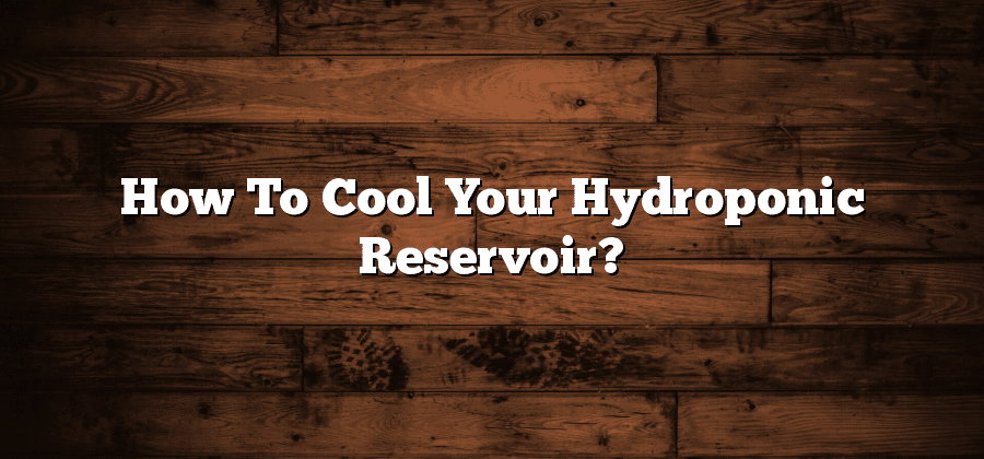 How To Cool Your Hydroponic Reservoir?