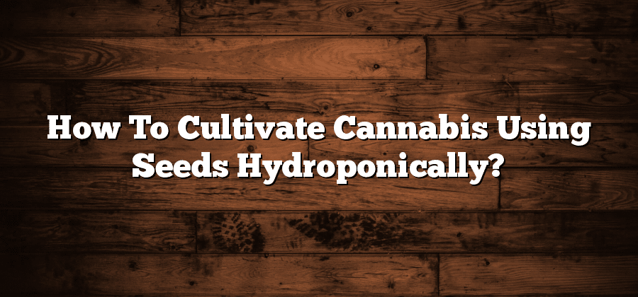 How To Cultivate Cannabis Using Seeds Hydroponically?