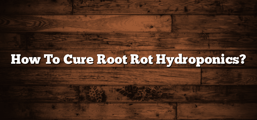 How To Cure Root Rot Hydroponics?