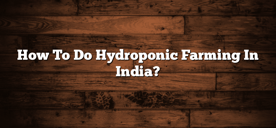 How To Do Hydroponic Farming In India?