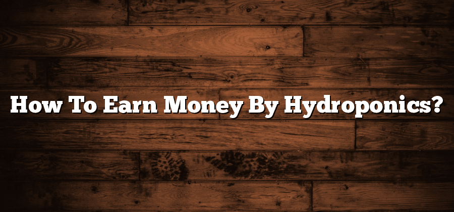 How To Earn Money By Hydroponics?