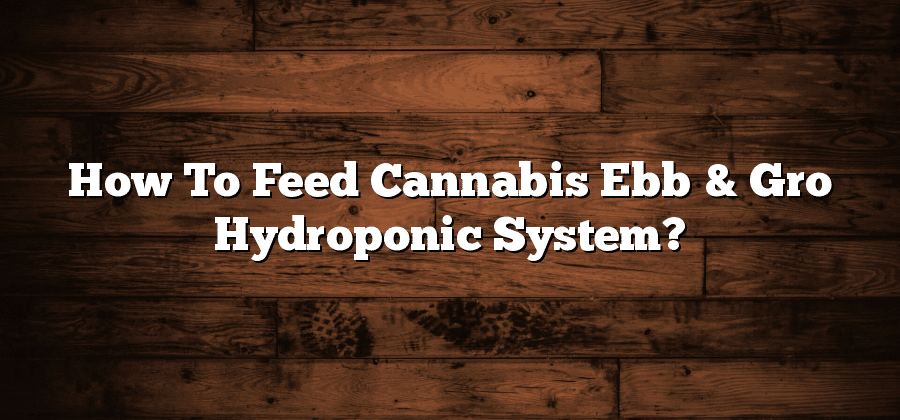 How To Feed Cannabis Ebb & Gro Hydroponic System?