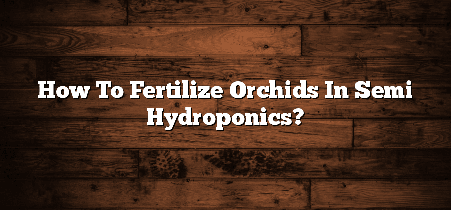 How To Fertilize Orchids In Semi Hydroponics?