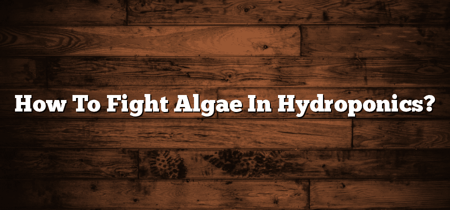 How To Fight Algae In Hydroponics?