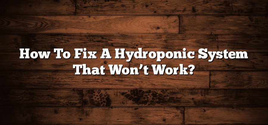 How To Fix A Hydroponic System That Won’t Work?