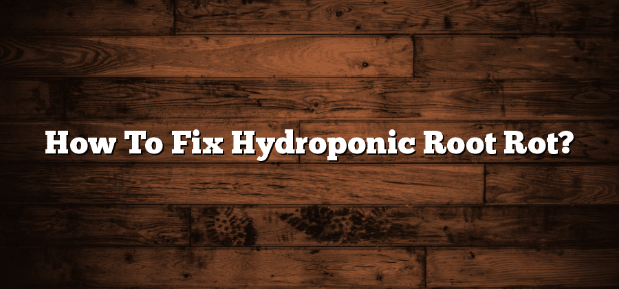 How To Fix Hydroponic Root Rot?