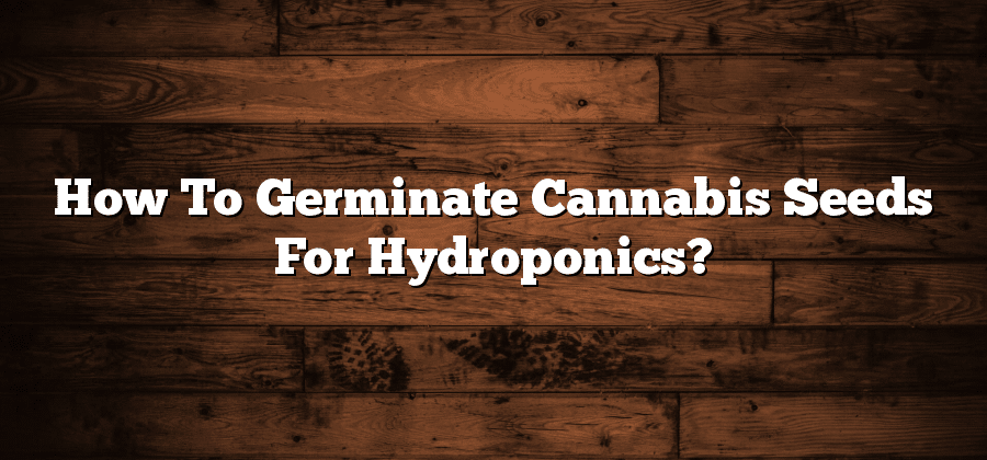 How To Germinate Cannabis Seeds For Hydroponics?