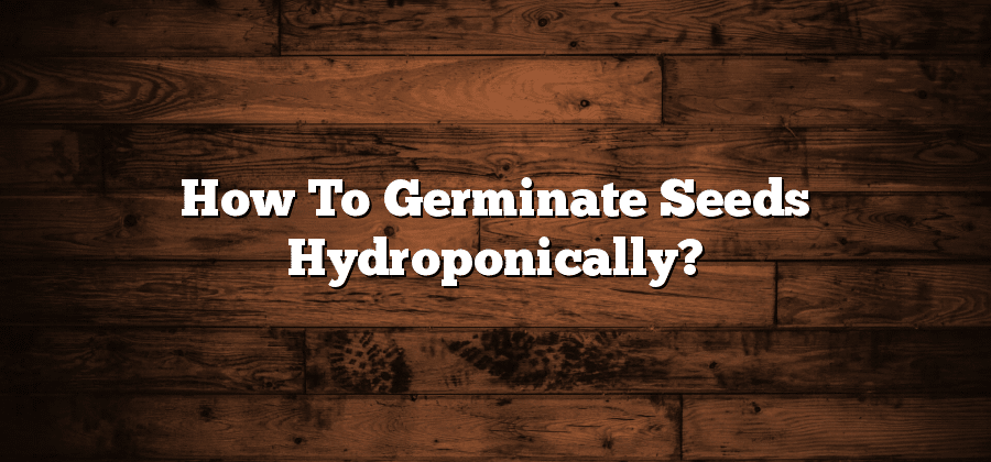 How To Germinate Seeds Hydroponically?
