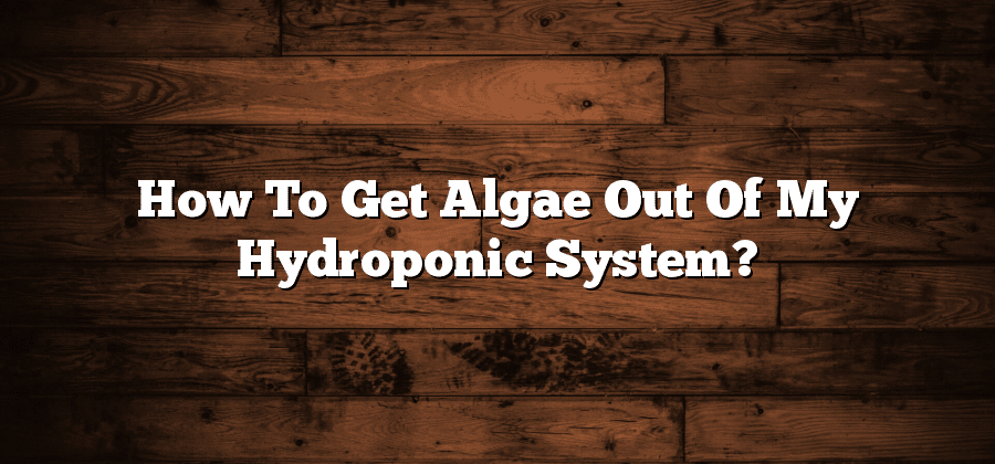How To Get Algae Out Of My Hydroponic System?