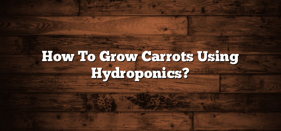How To Grow Carrots Using Hydroponics?