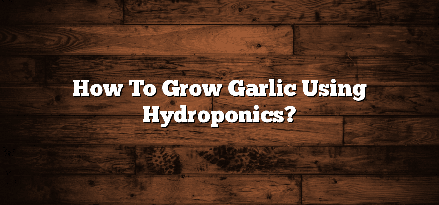 How To Grow Garlic Using Hydroponics?