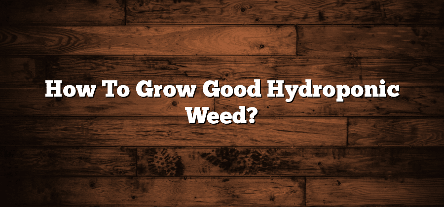 How To Grow Good Hydroponic Weed?