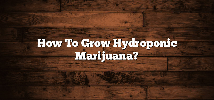 How To Grow Hydroponic Marijuana?