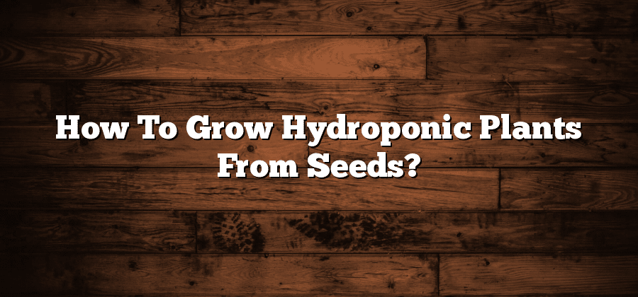 How To Grow Hydroponic Plants From Seeds?