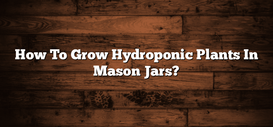 How To Grow Hydroponic Plants In Mason Jars?