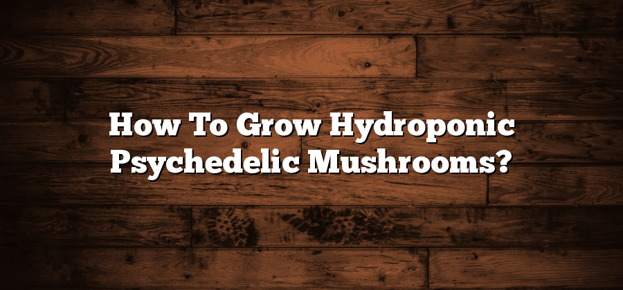 How To Grow Hydroponic Psychedelic Mushrooms?