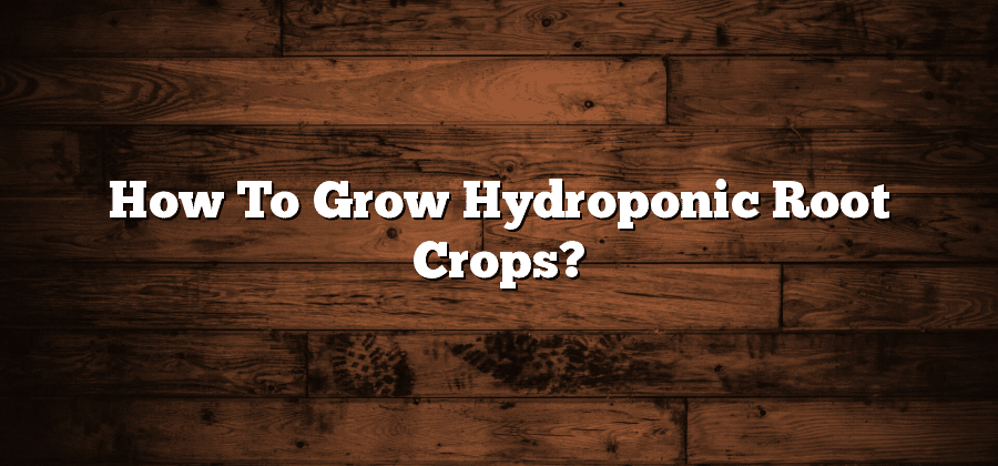How To Grow Hydroponic Root Crops?