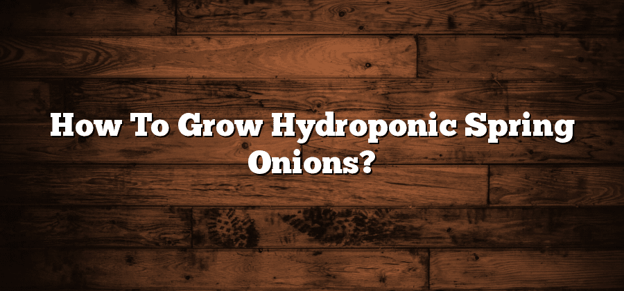 How To Grow Hydroponic Spring Onions?