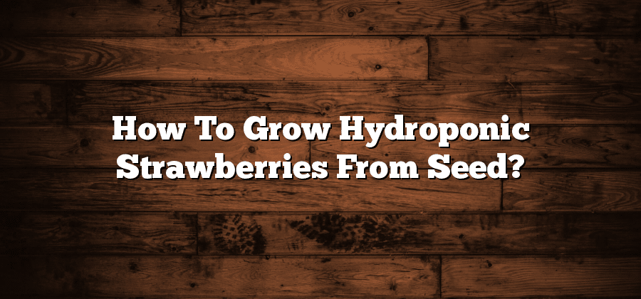How To Grow Hydroponic Strawberries From Seed?