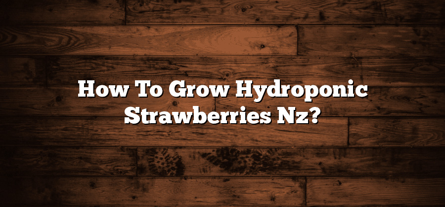 How To Grow Hydroponic Strawberries Nz?