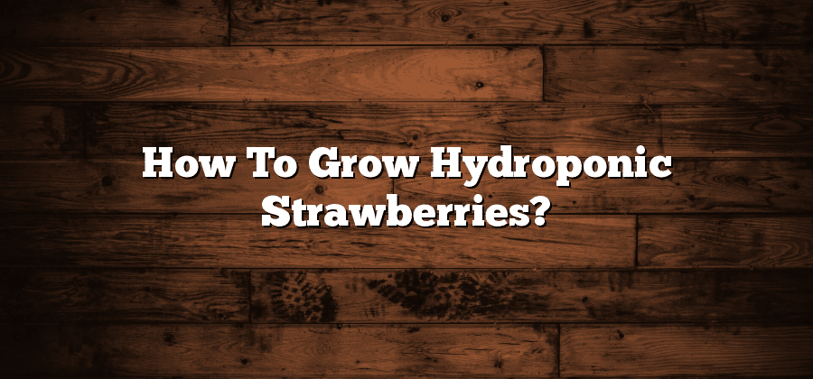 How To Grow Hydroponic Strawberries?
