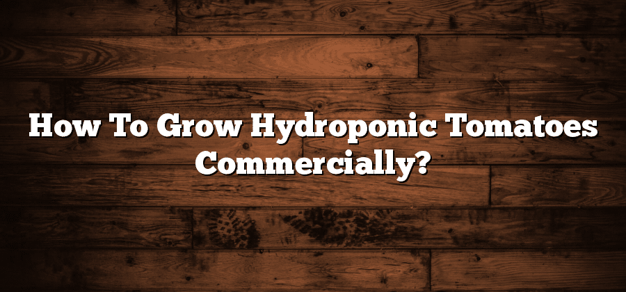 How To Grow Hydroponic Tomatoes Commercially?