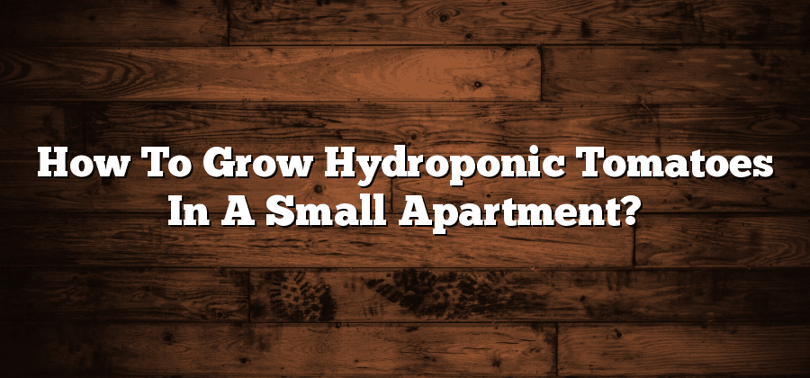How To Grow Hydroponic Tomatoes In A Small Apartment?
