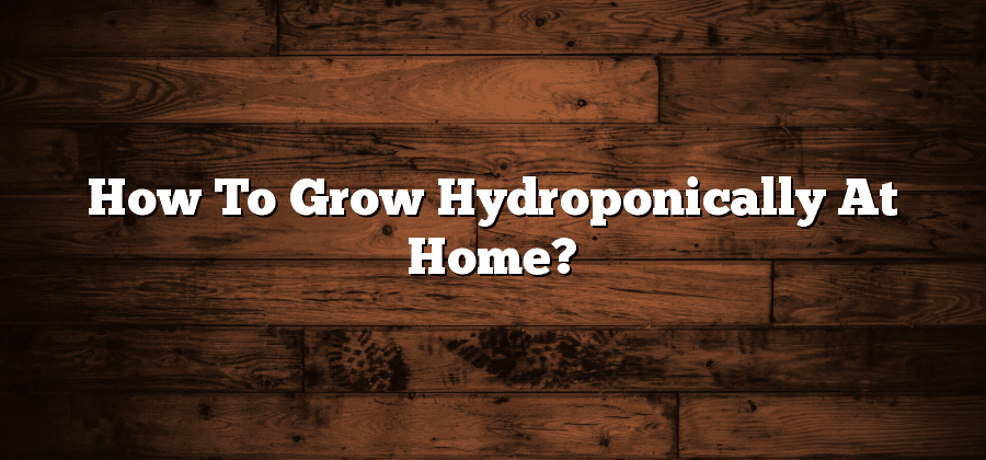 How To Grow Hydroponically At Home?
