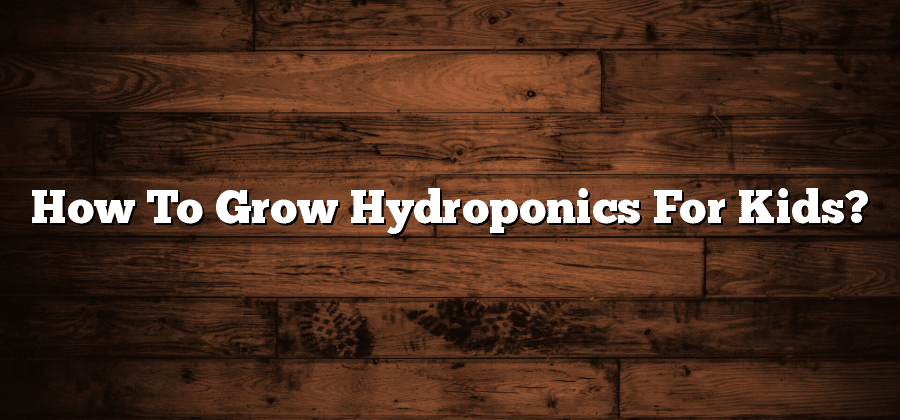 How To Grow Hydroponics For Kids?