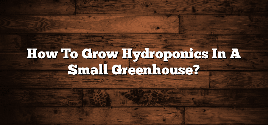 How To Grow Hydroponics In A Small Greenhouse?