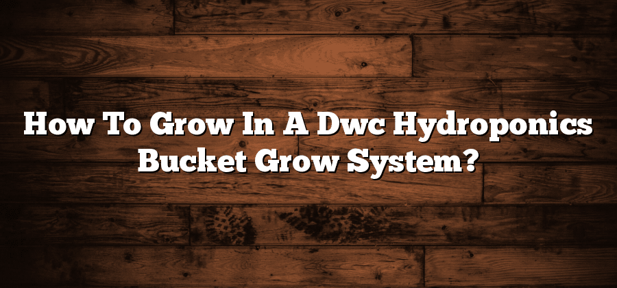 How To Grow In A Dwc Hydroponics Bucket Grow System?