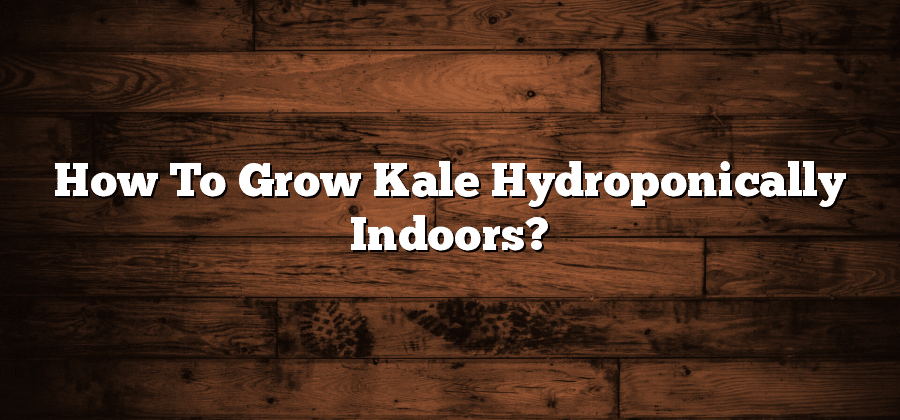 How To Grow Kale Hydroponically Indoors?