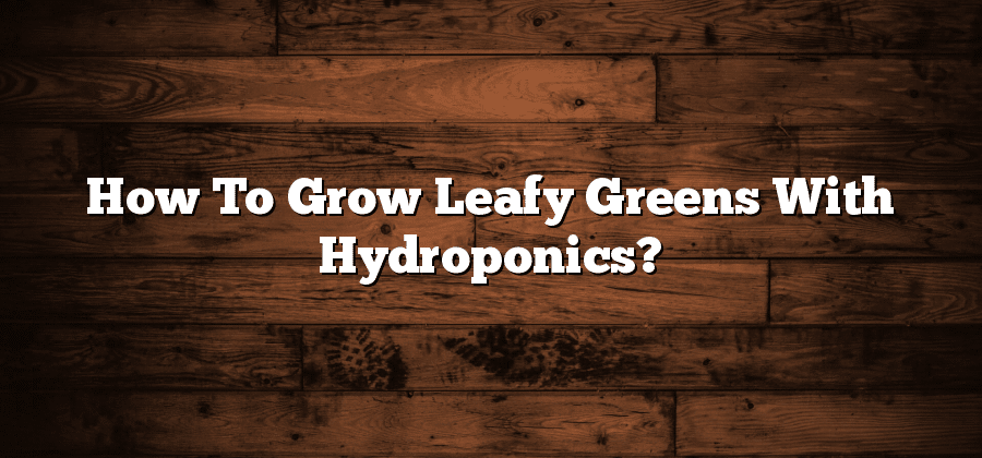 How To Grow Leafy Greens With Hydroponics?
