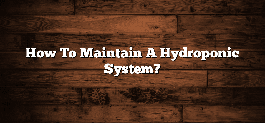 How To Maintain A Hydroponic System?