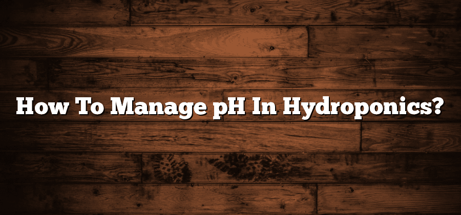 How To Manage pH In Hydroponics?