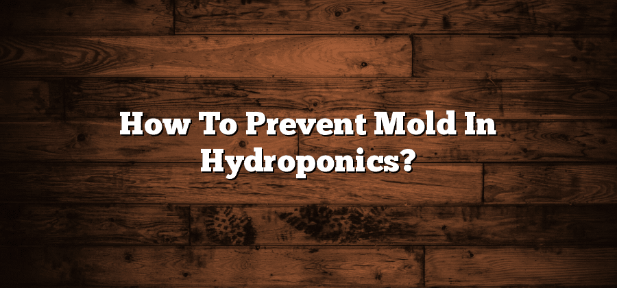 How To Prevent Mold In Hydroponics?