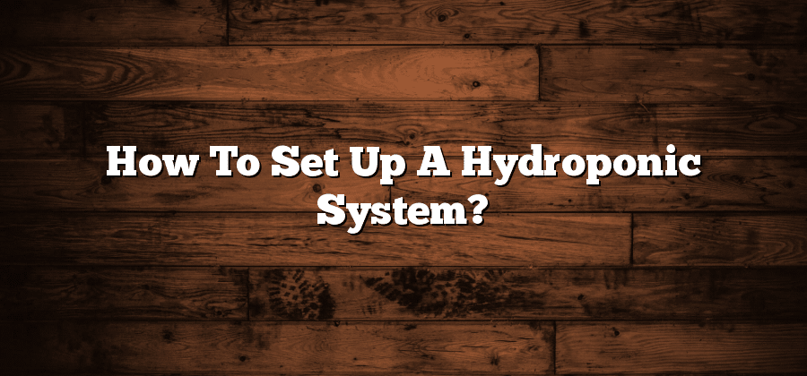 How To Set Up A Hydroponic System?