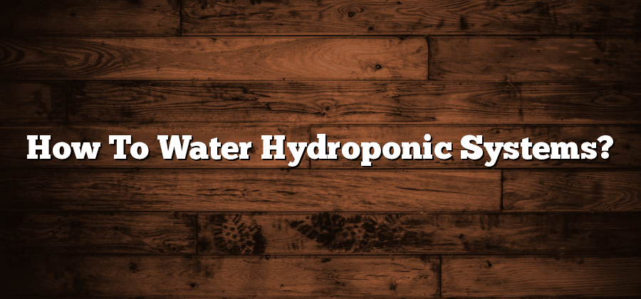 How To Water Hydroponic Systems?