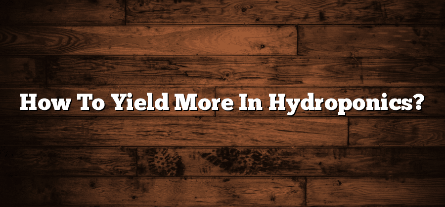 How To Yield More In Hydroponics?