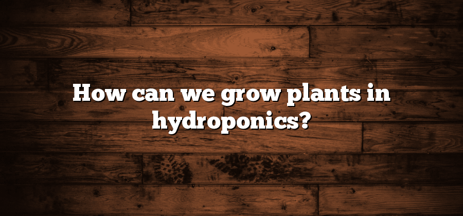 How can we grow plants in hydroponics?