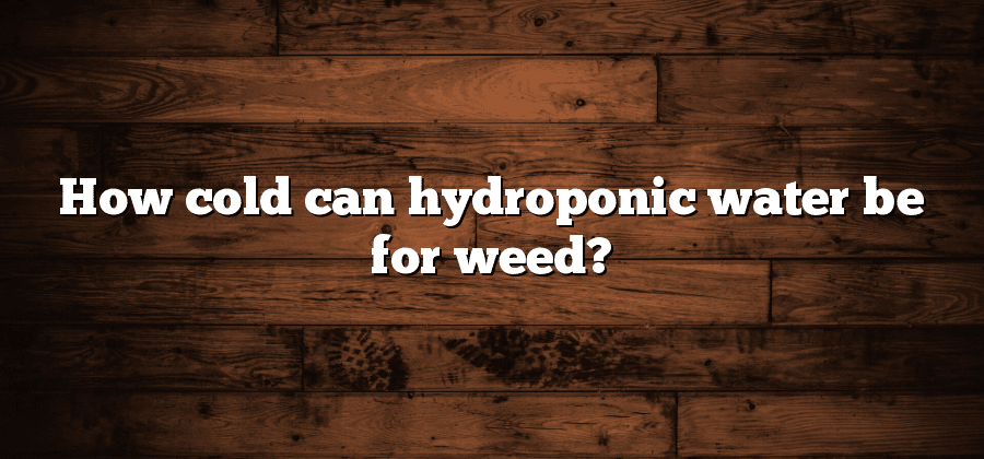 How cold can hydroponic water be for weed?